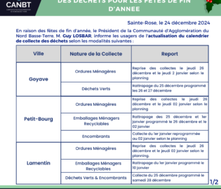 Modification du planning de collecte des déchets pour les fêtes de fin d'année