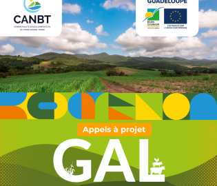 Appel à projets GAL 2025 – Dynamisez l’économie rurale du Nord Basse-Terre ! 🌱