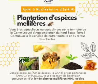 Appel à manifestation d’intérêt – Plantation d’espèces mellifères