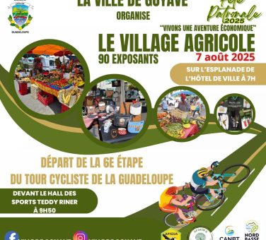 525982078_1381911247275976_6541802732754063718_n