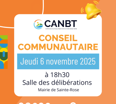Conseil Communautaire (13)